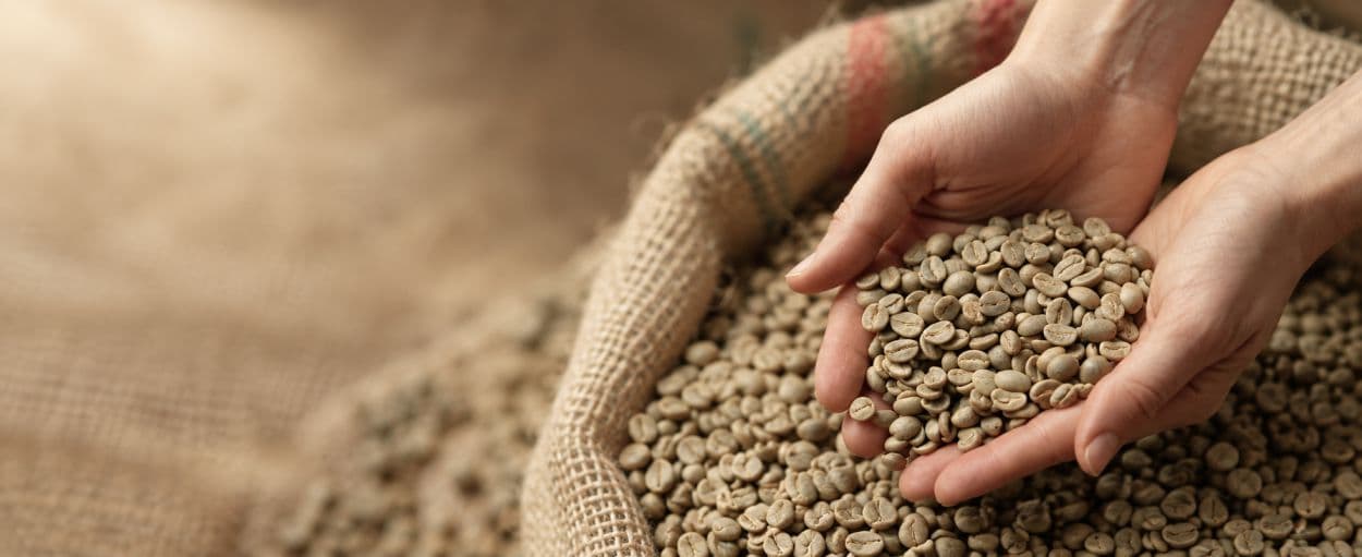 Green Coffee Beans