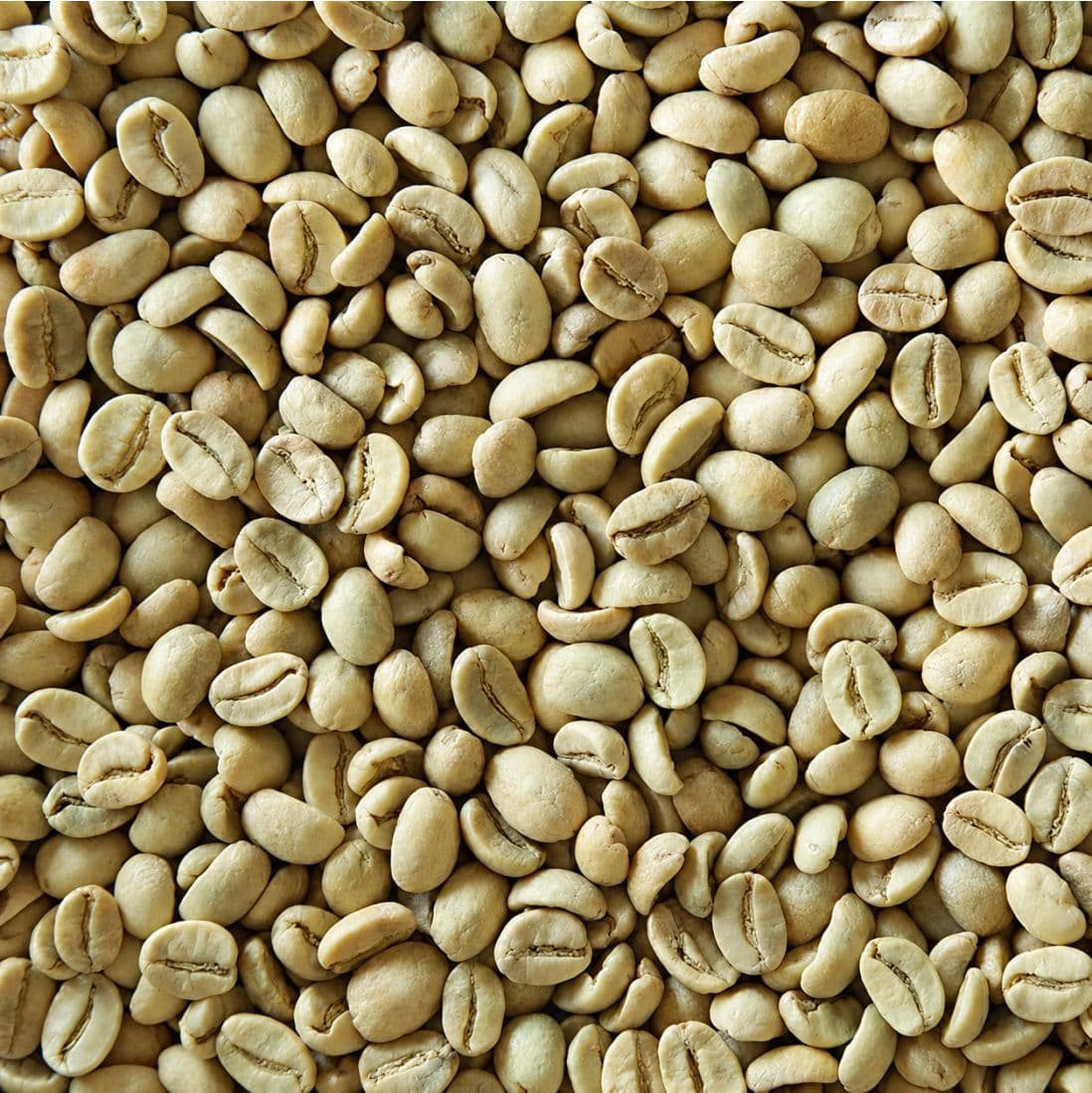 Arabica Cherry