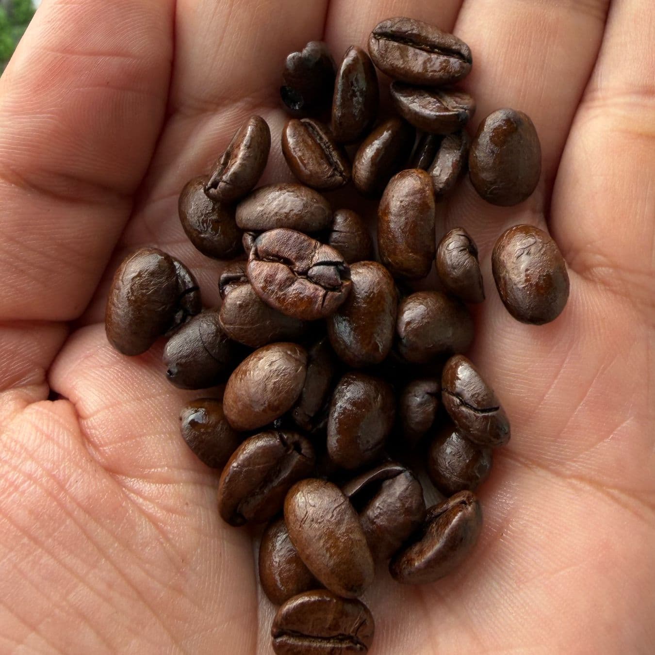 Arabica Cherry