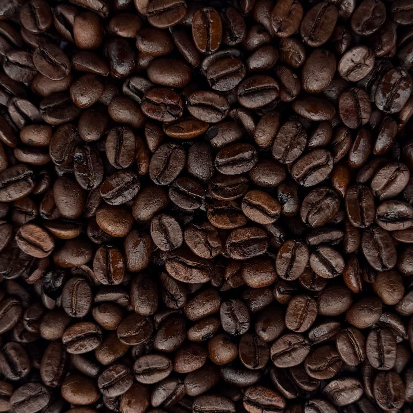 Arabica Cherry